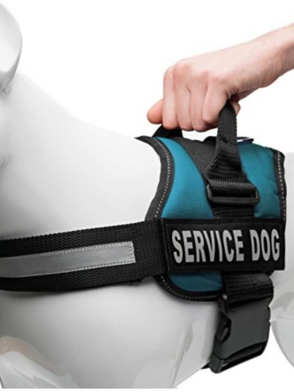 Service Dog Vest size M